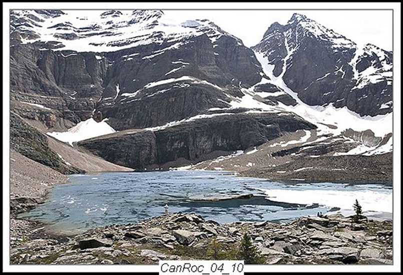 Can Rockies 2004 14