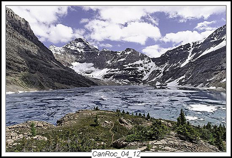 Can Rockies 2004 16