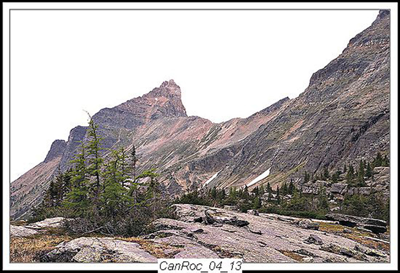 Can Rockies 2004 17
