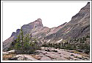 Can Rockies 2004 17