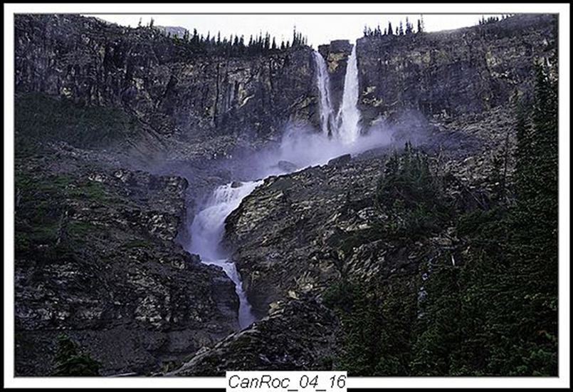 Can Rockies 2004 20