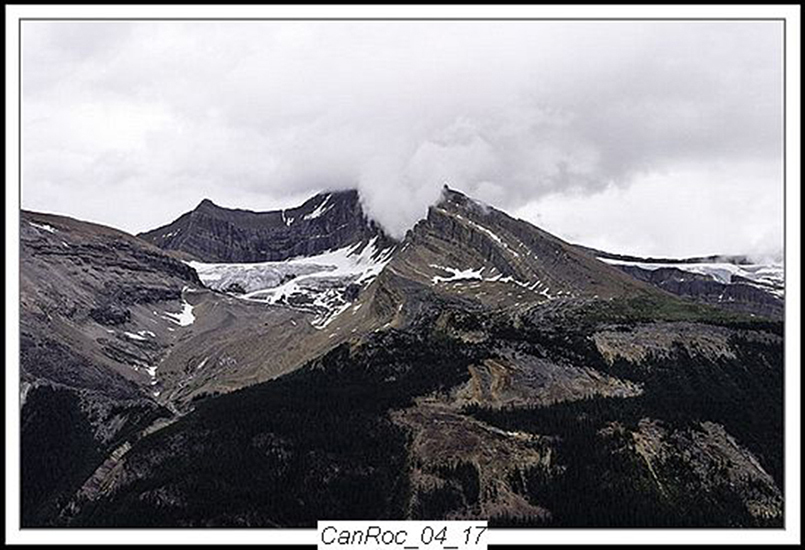 Can Rockies 2004 21