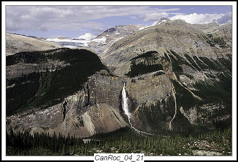 Can Rockies 2004 25