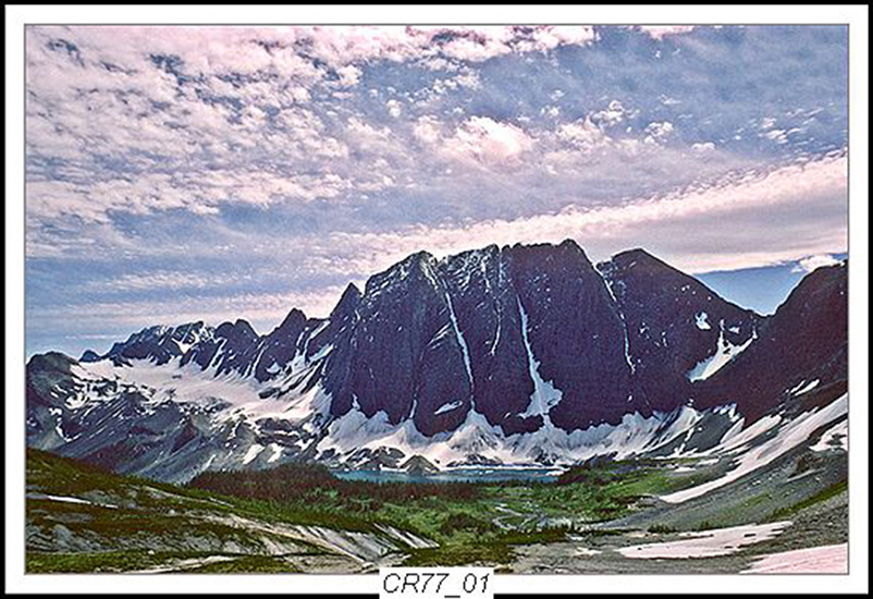 Can Rockies 1977 16