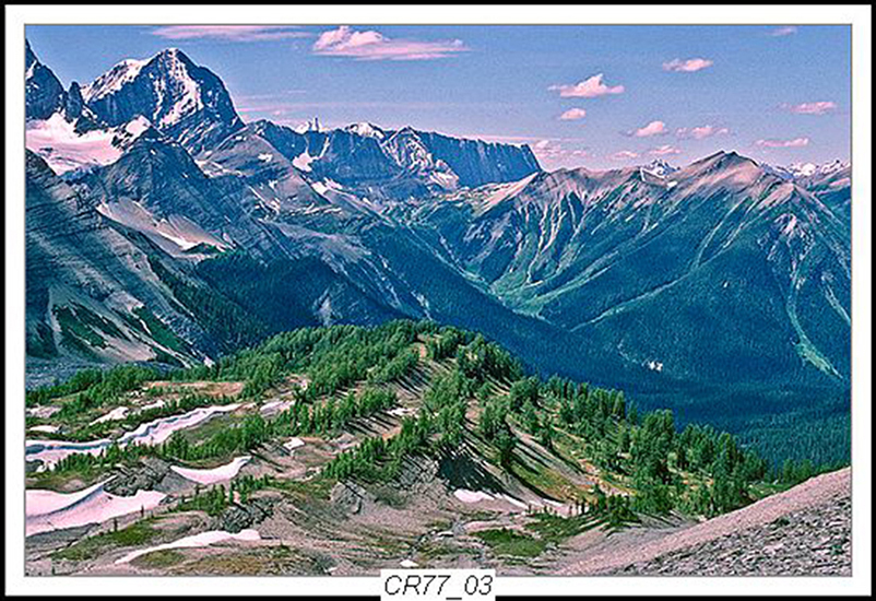 Can Rockies 1977 18