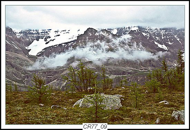 Can Rockies 1977 04