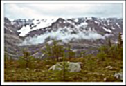 Can Rockies 1977 04