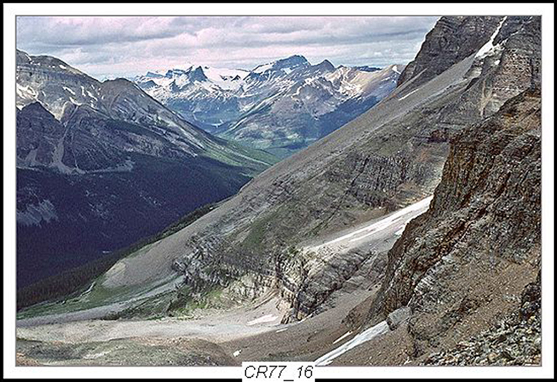 Can Rockies 1977 22