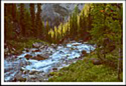Can Rockies 1977 12