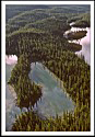 Can Rockies 1977 25
