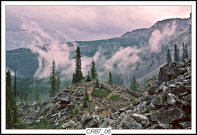 Can Rockies 1987 06