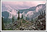 Can Rockies 1987 06