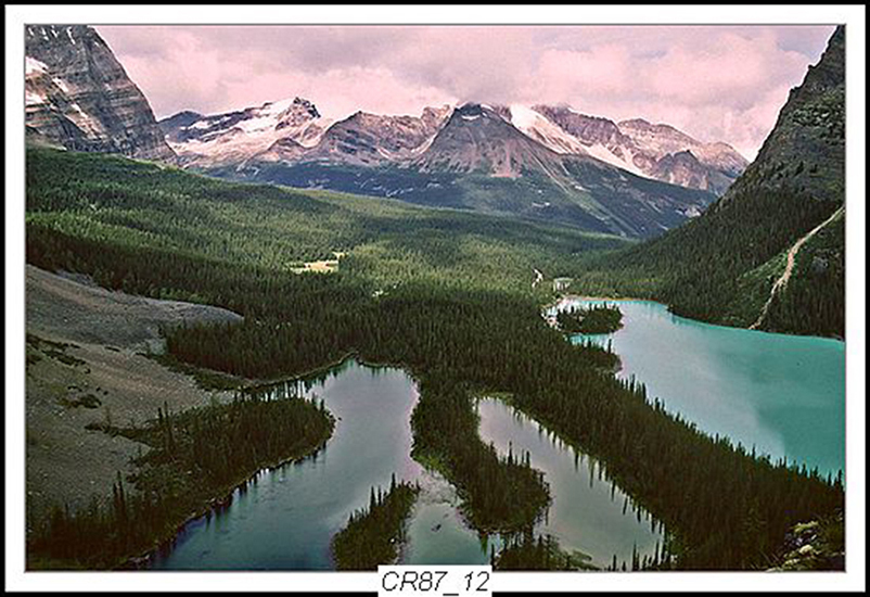 Can Rockies 1987 12