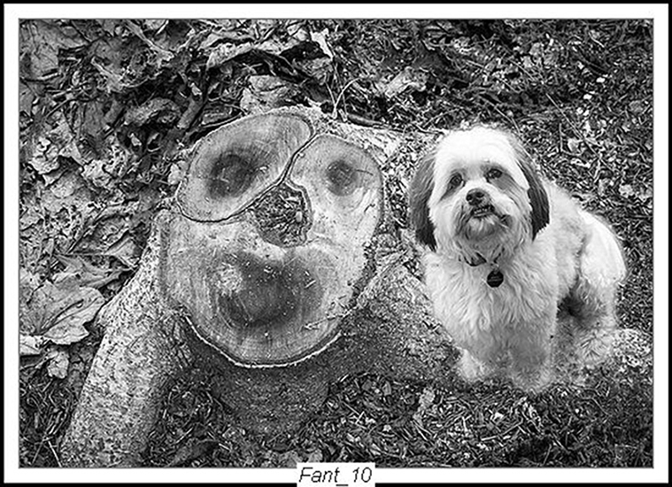 Double_Selfie