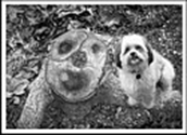 Double_Selfie